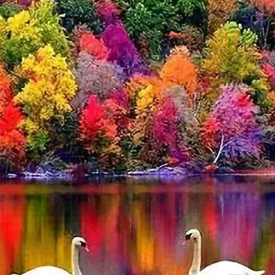 相思苦，离别痛