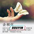 小金鱼232470639