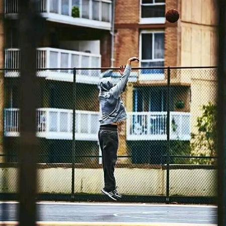 向日葵