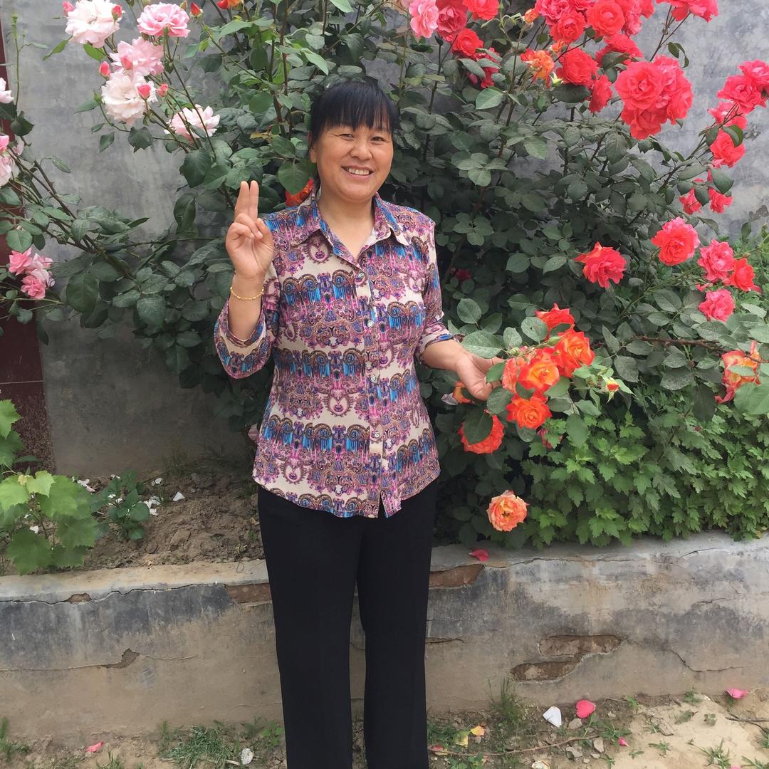 花飞花落