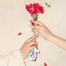 傲娇的小野马🐎