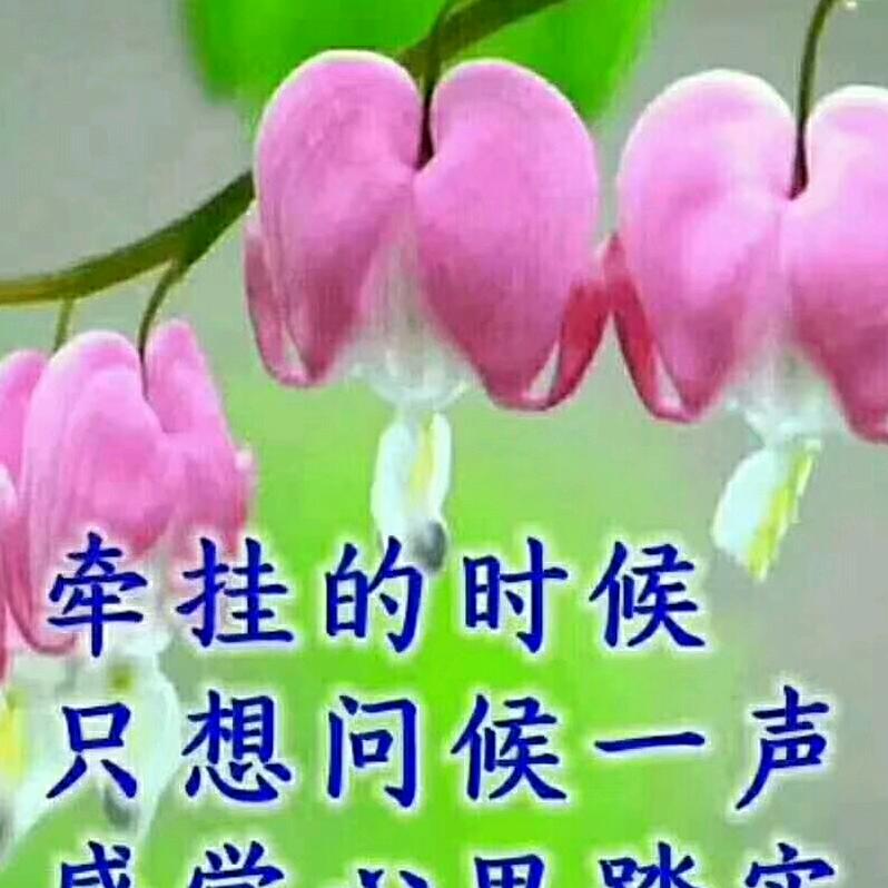 开心就好，健康第一