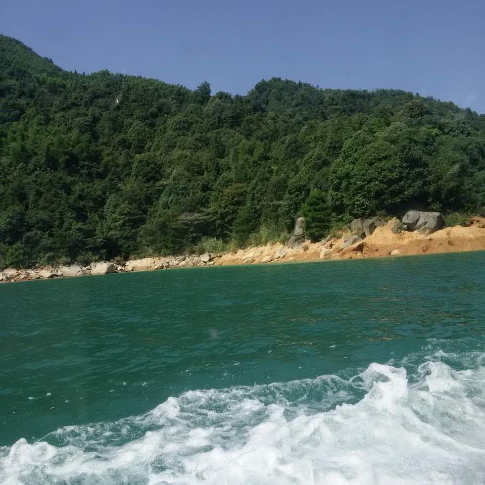 时光不老