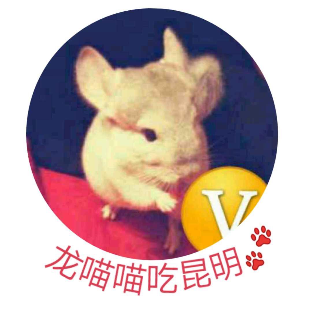 龙喵喵玩吃昆明