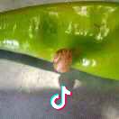 林间小溪