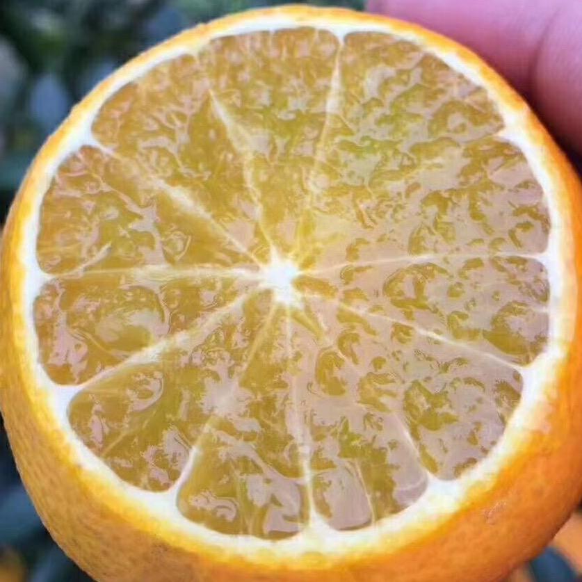 自驾达人