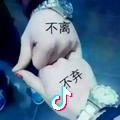 首长zsf