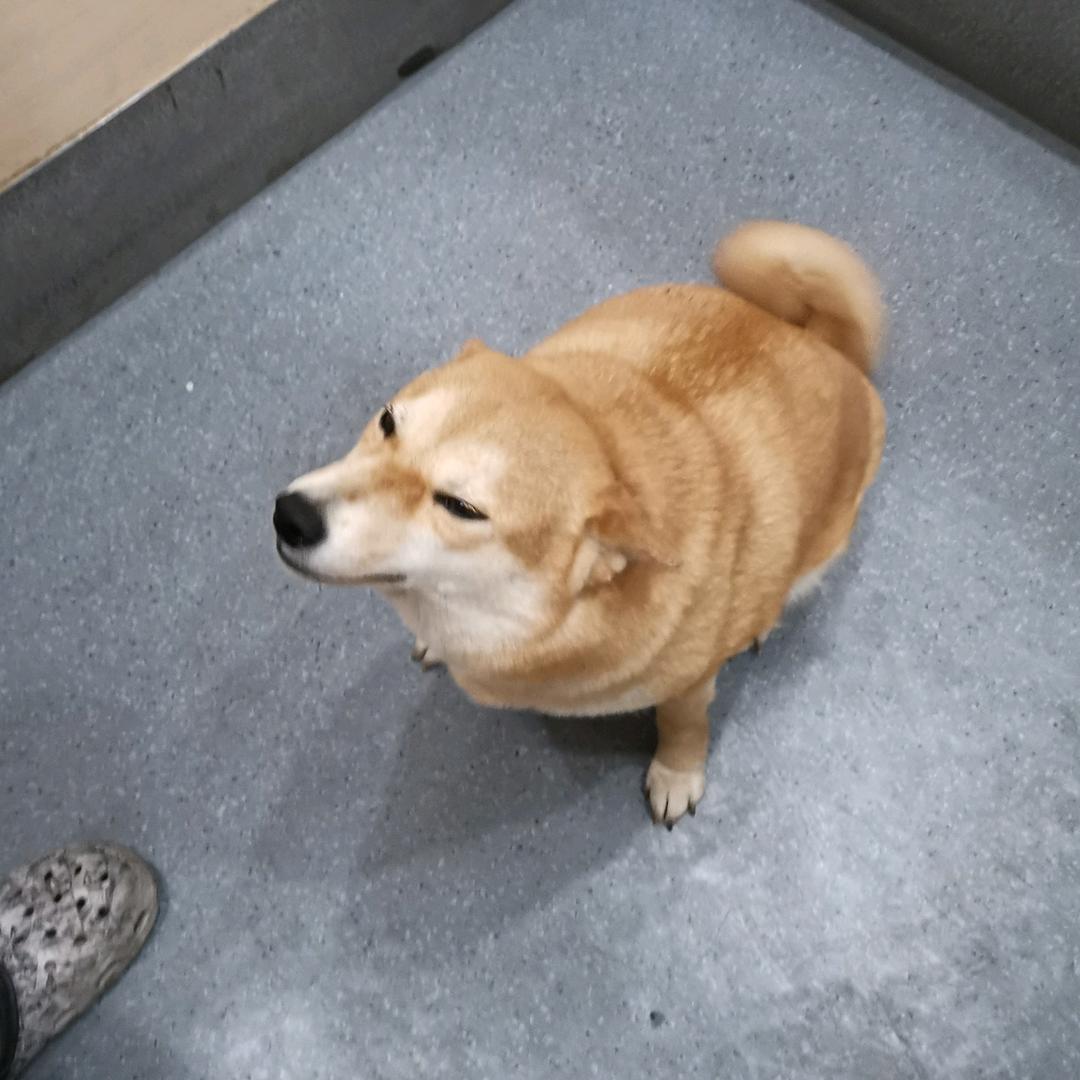 壹零壹
