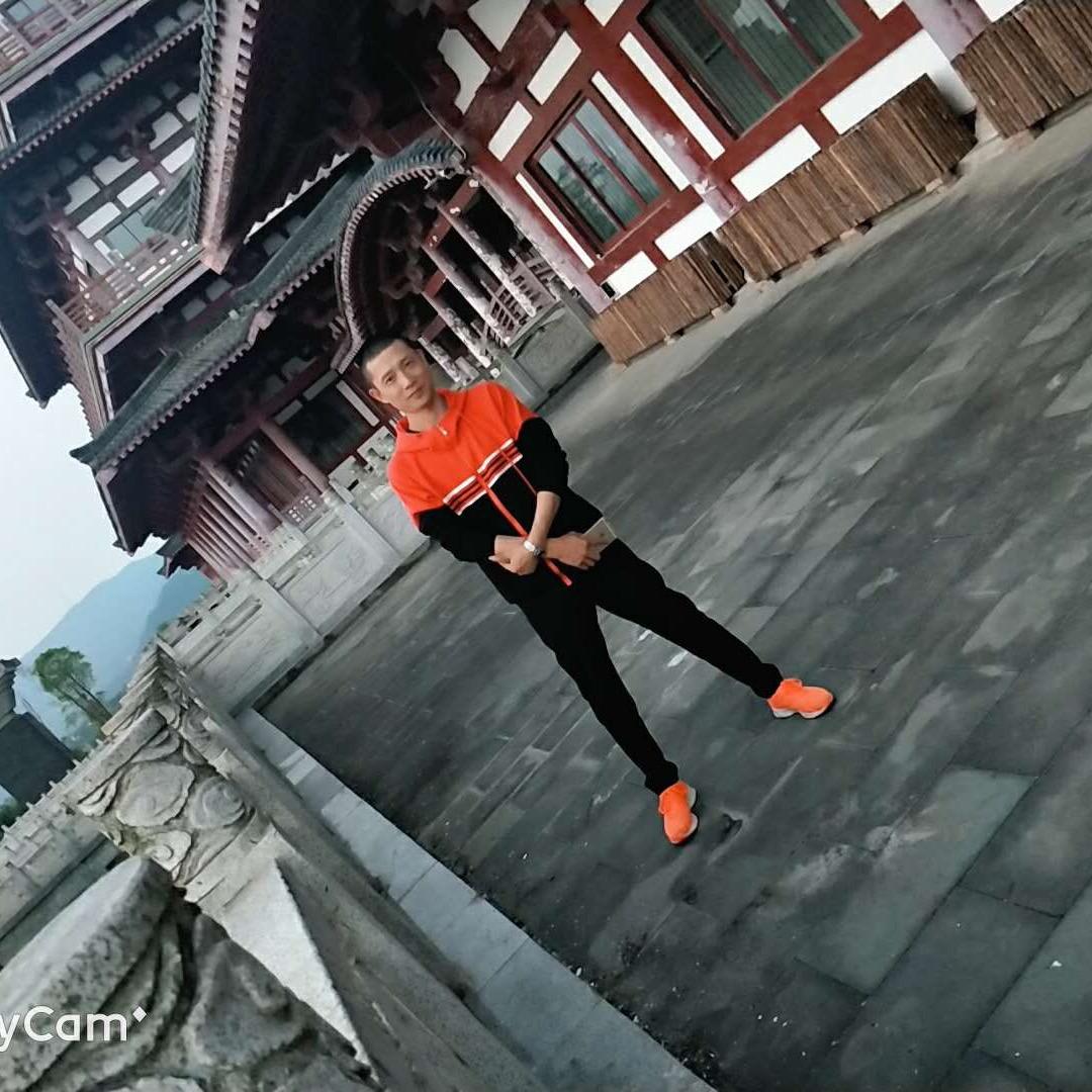 吃肉的羊