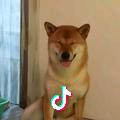 凯