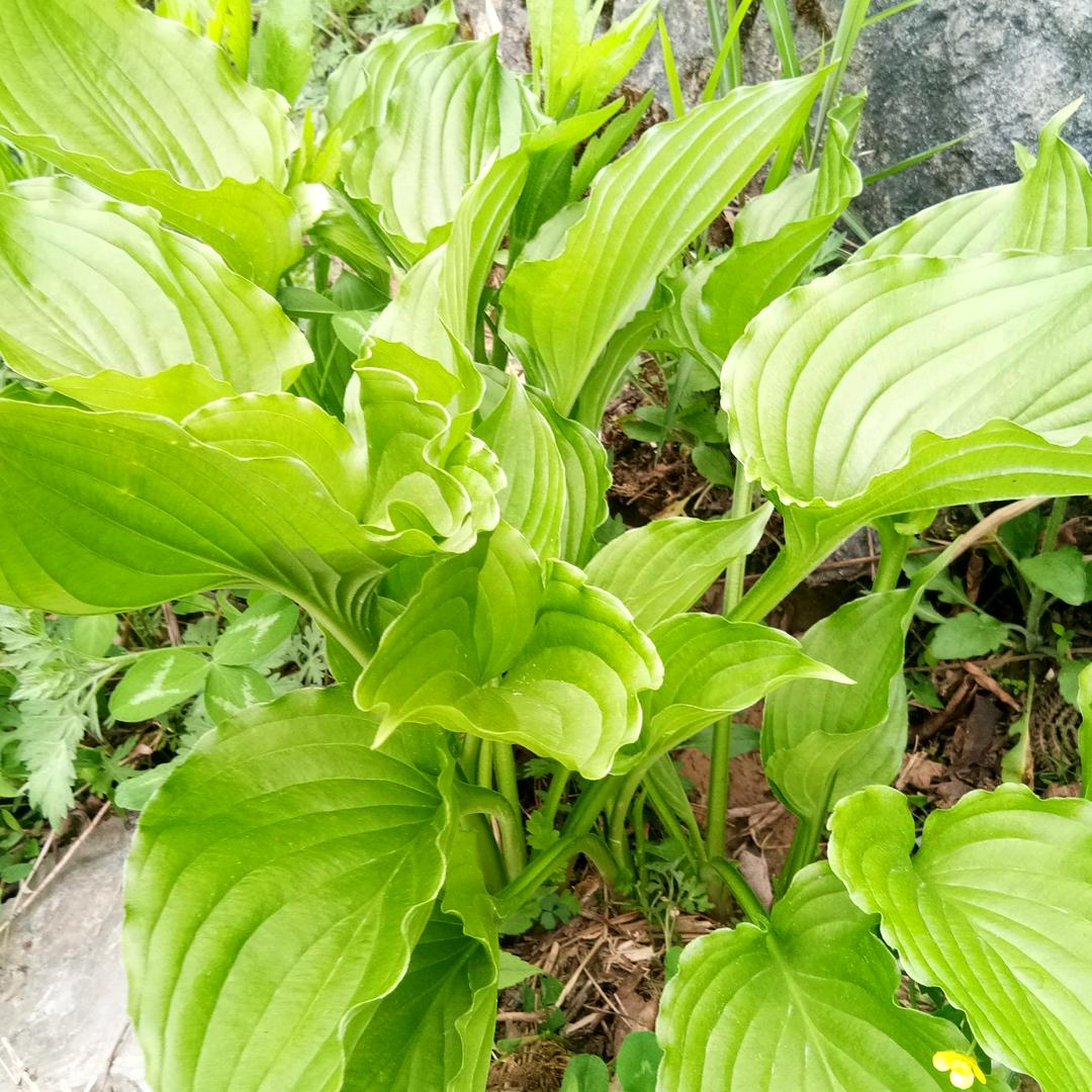 想得更美,拒绝私聊