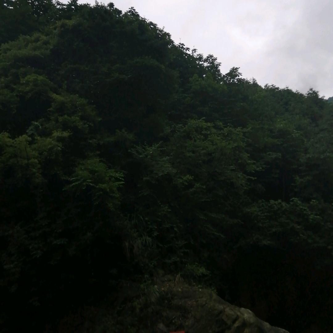 真诚