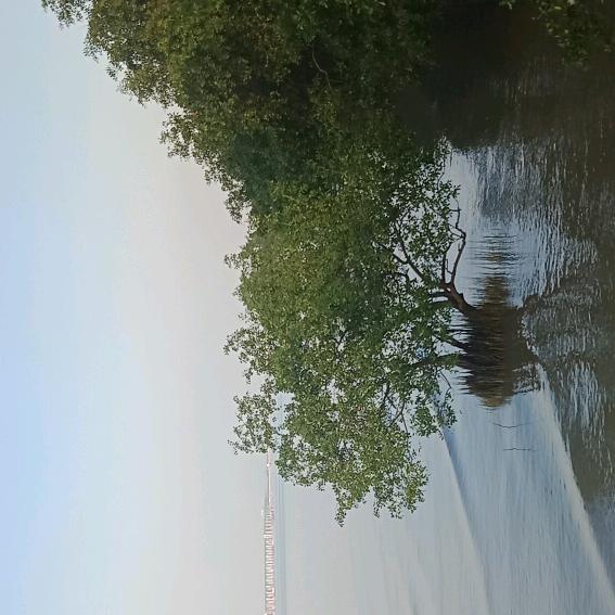 我不是你那根葱♥♥🐍1030