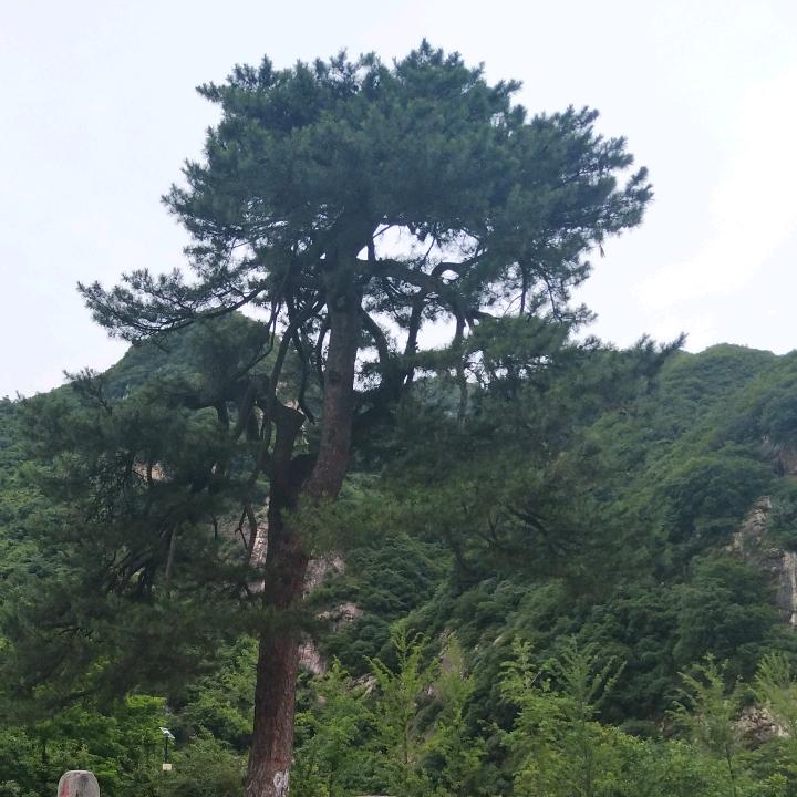 金生水起