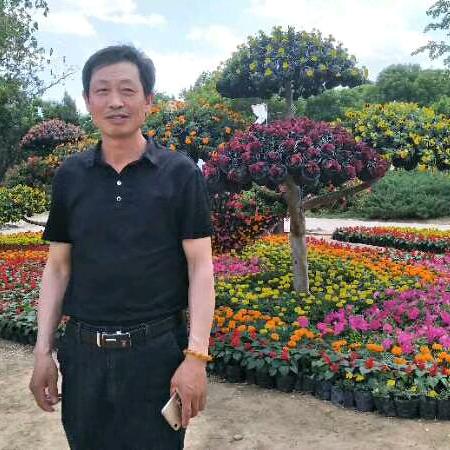 平安快乐