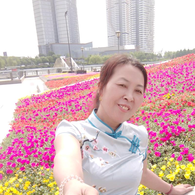 一支梅