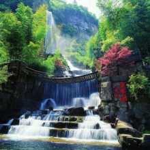 余小姐〈拒私聊〉