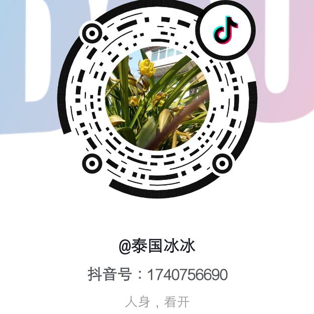 泰国冰冰