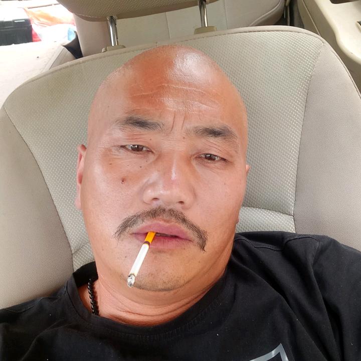 光头强窗帘批发