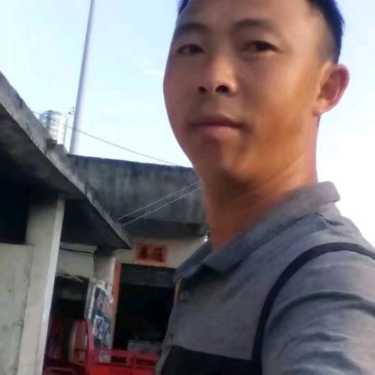 千年灵芝。