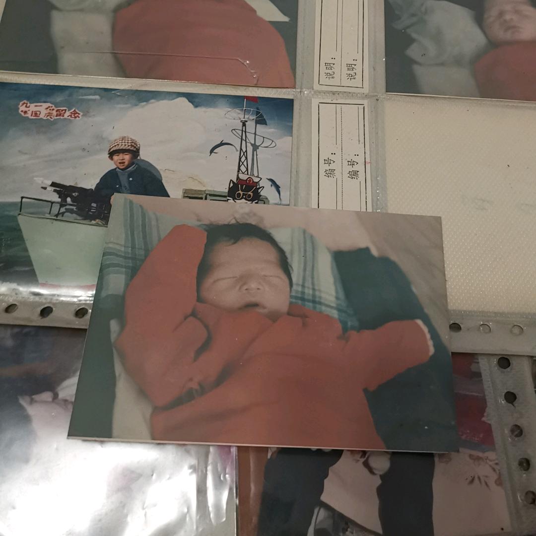 北极的鹌鹑_