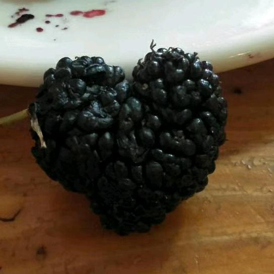 缘味私厨