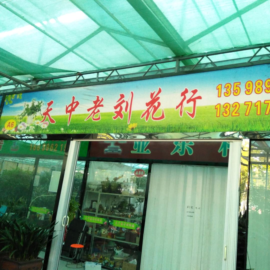 天中花卉(老刘花行A区6号)