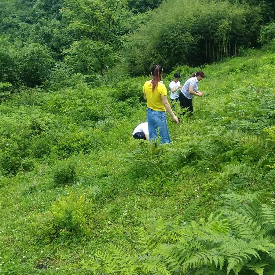 开开心心的过一生