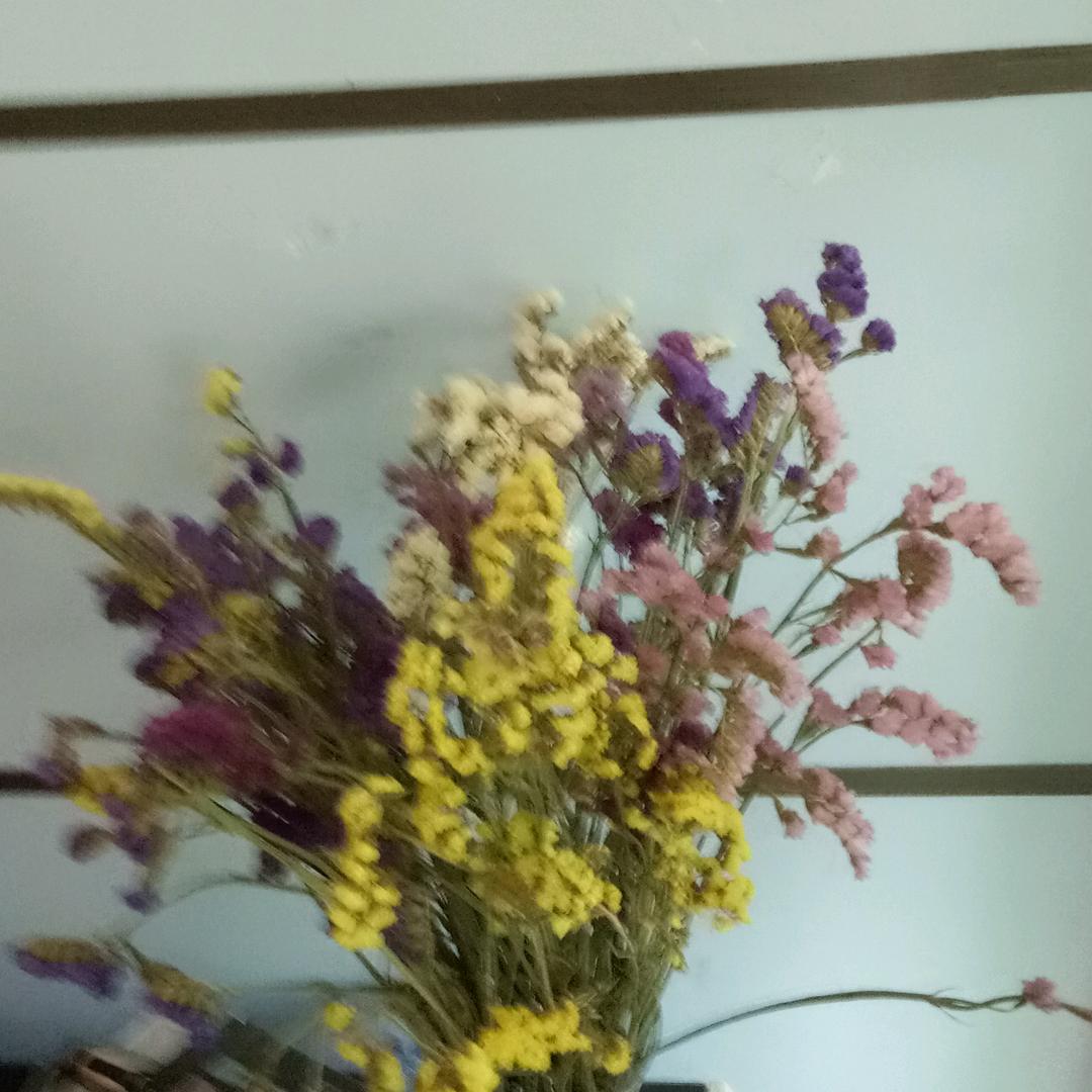 桃花剩开