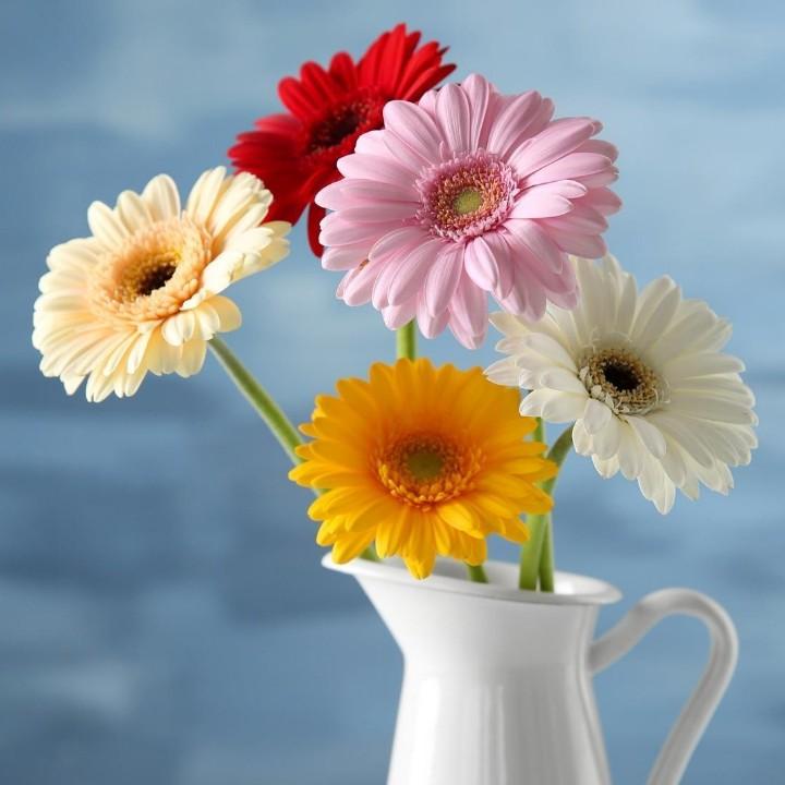 彭姐开车走天下