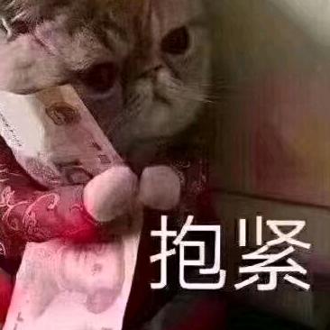 小小的太阳