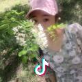 卖蜂蜜的小女孩