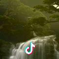 明月清泉 