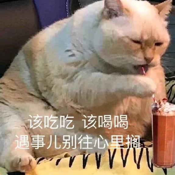 梦里花落知多少