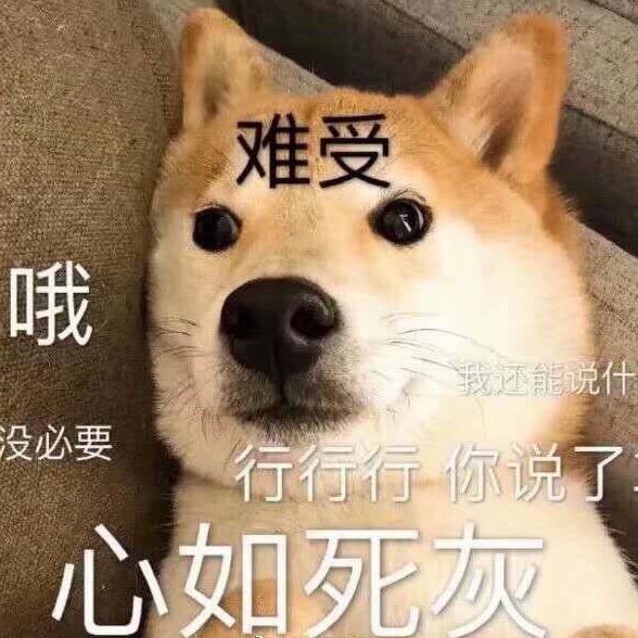 会走路的三百块QAQ