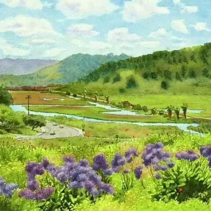 樱花树下的约定