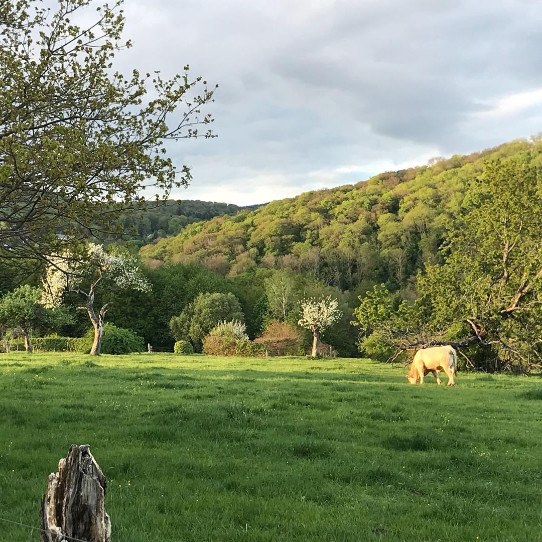 晋江匠心艺美化妆品