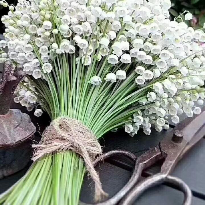 江都区邵伯镇花蜜花店