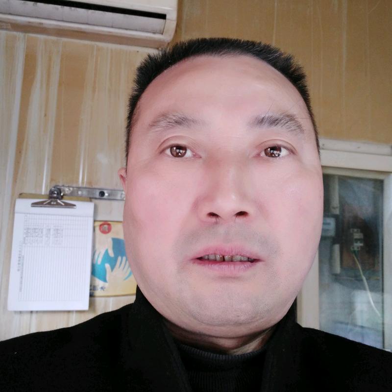 欢乐马