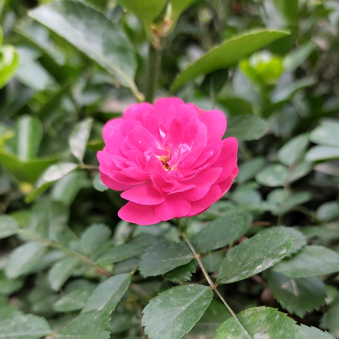 生活其实很美丽