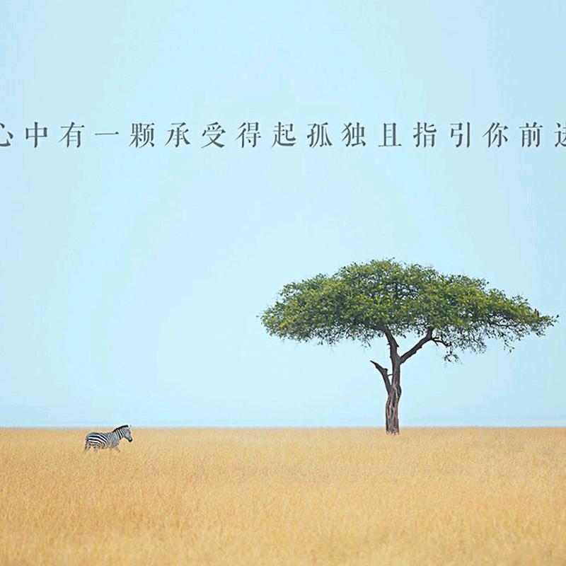 清风墨竹
