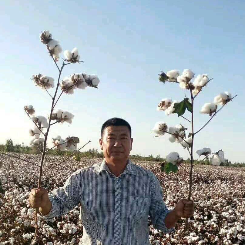 金凯种业刘俊杰