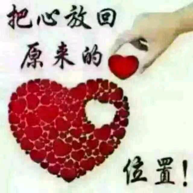 枫    叶