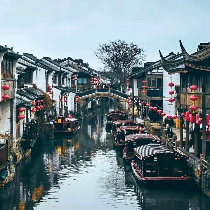 无忧无虑.
