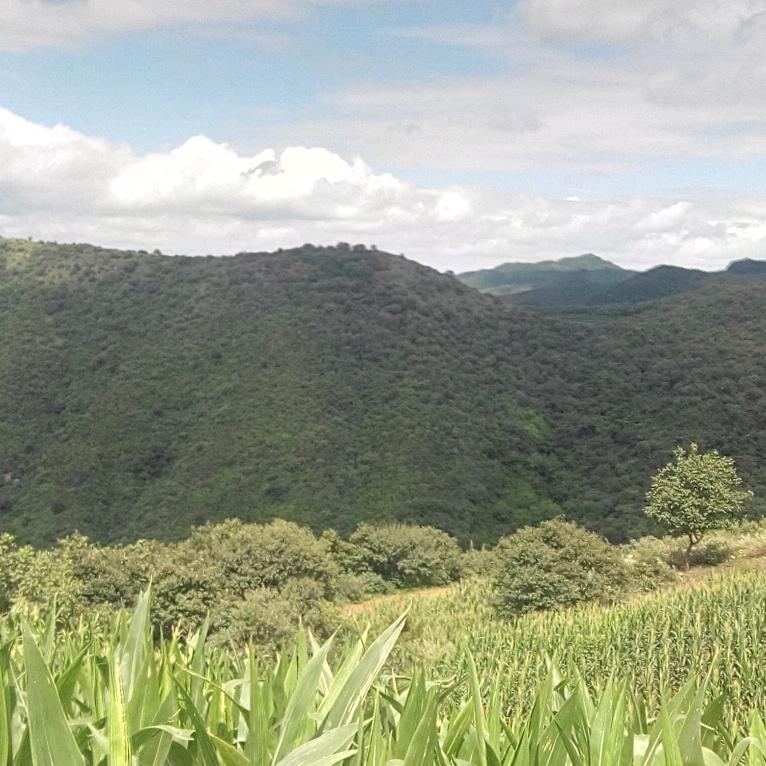 美好的生活从明天开始