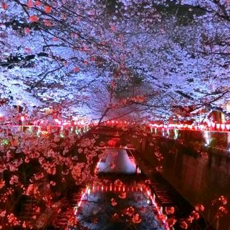 长夜漫漫，无心睡眠