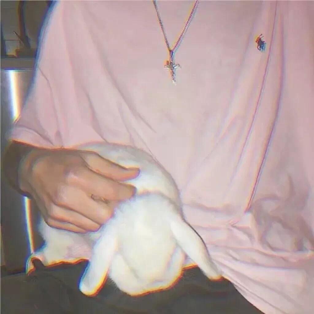 爱吃薯条的Majesty