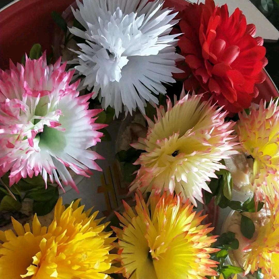 花品汇