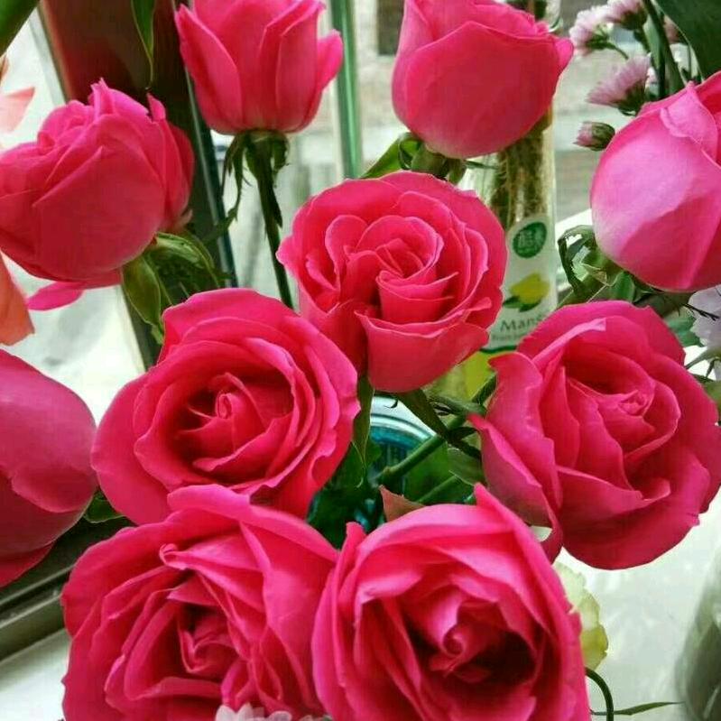 开心过好每一天