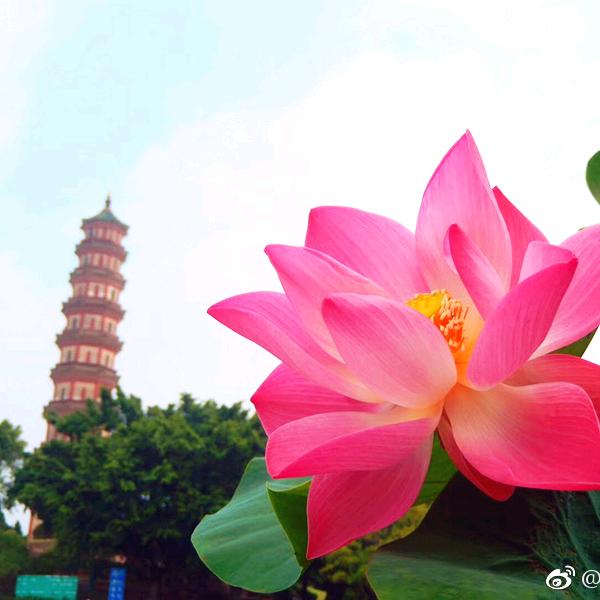 广州莲花山